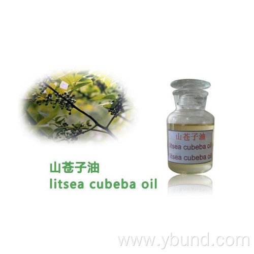 Natural Pure Litsea Cubeba Oil Essential Oil